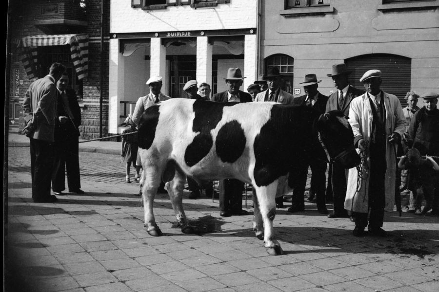 Gemeenteplein